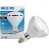 Philips 125W Clear Medium BR40 Incandescent Heat Light Bulb -Philips Sales 2024 ItemImage 501835 q5w838 1znk74 d5q29z