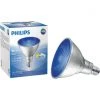 Philips 100W Equivalent Blue PAR38 Medium LED Floodlight Light Bulb -Philips Sales 2024 ItemImage 501958 q5w872 9yxj5k 6yf4a1