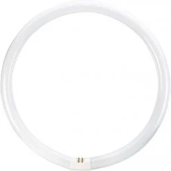 Philips 40W 16 In. Cool White T9 4-Pin Circline Fluorescent Tube Light Bulb 7 Philips 40W 16 In. Cool White T9 4-Pin Circline Fluorescent Tube Light Bulb -Philips Sales 2024 ItemImage 506072 q5w9ie ccs8l4 32ywla