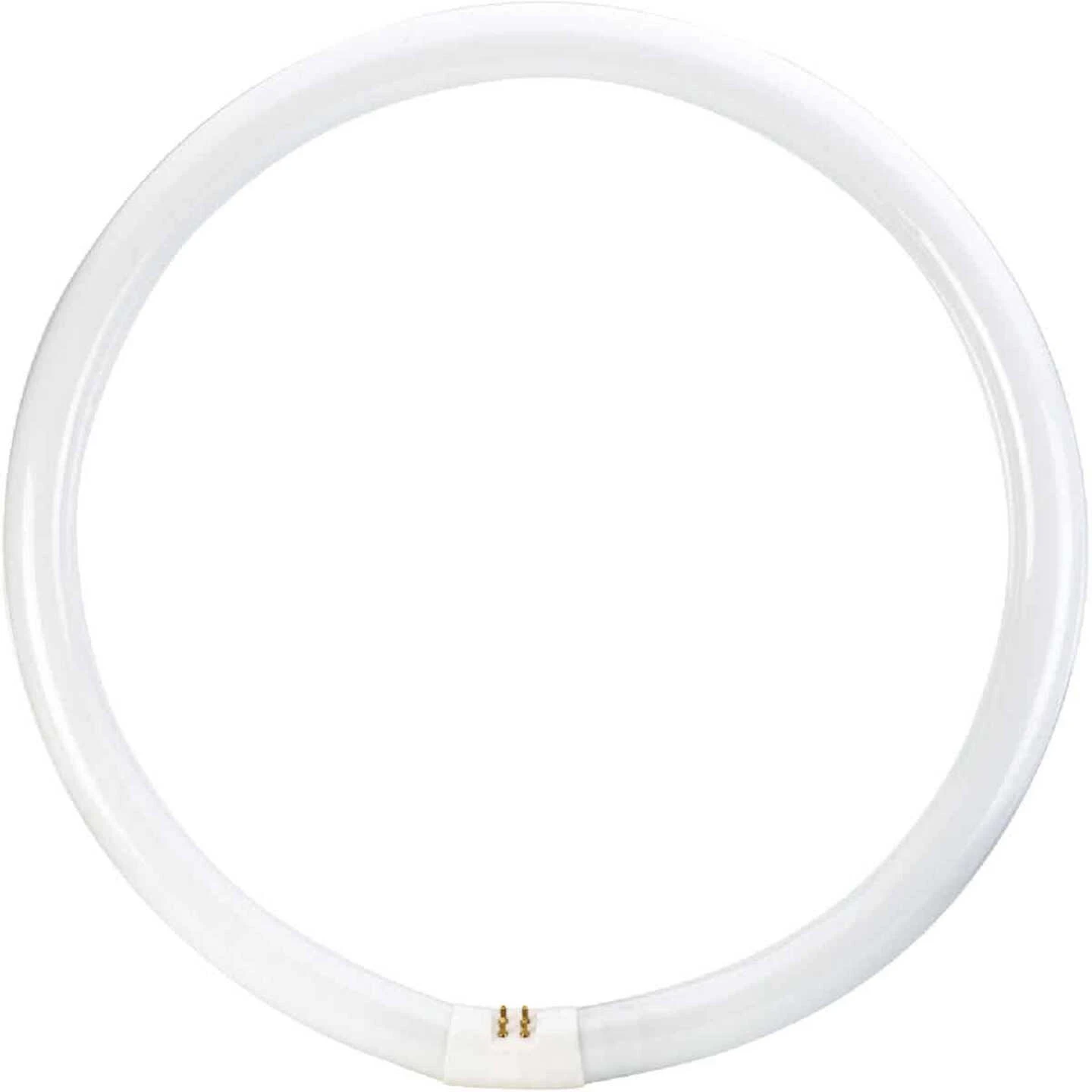 Philips 40W 16 In. Cool White T9 4-Pin Circline Fluorescent Tube Light Bulb 5 Philips 40W 16 In. Cool White T9 4-Pin Circline Fluorescent Tube Light Bulb - Image 3