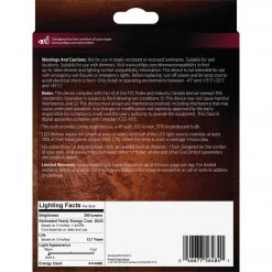 Philips Vintage 40W Equivalent Amber ST19 Medium LED Decorative Light Bulb (2-Pack) -Philips Sales 2024 ItemImage 506408 wc75fnf5t5hc5b7h2t49mqjg