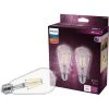 Philips Vintage 40W Equivalent Soft White ST19 Medium LED Decorative Light Bulb (2-Pack) -Philips Sales 2024 ItemImage 508106 ghpsb7w555zqt3jt638kqb