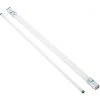 Philips ALTO 32W 48 In. Daylight T8 Medium Bi-Pin Fluorescent Tube Light Bulb (2-Pack) 2 Philips ALTO 32W 48 In. Daylight T8 Medium Bi-Pin Fluorescent Tube Light Bulb (2-Pack) -Philips Sales 2024 ItemImage 516455 qboagm 1dojcg gite8z