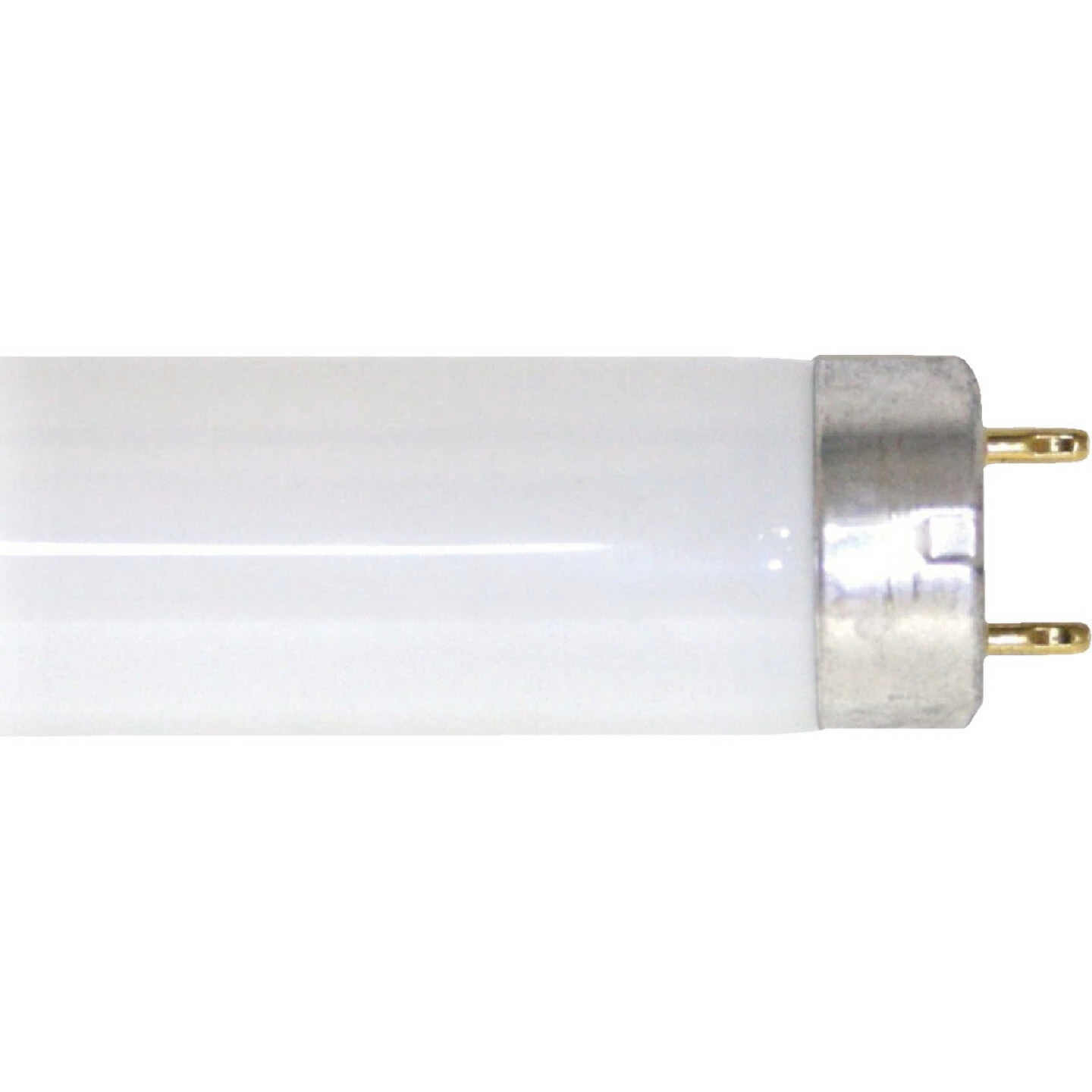 Philips ALTO 30W 36 In. Cool White T8 Medium Bi-Pin Fluorescent Tube Light Bulb 3 Philips ALTO 30W 36 In. Cool White T8 Medium Bi-Pin Fluorescent Tube Light Bulb